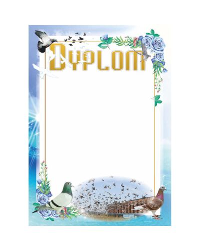 dyplom-dh-316.jpg