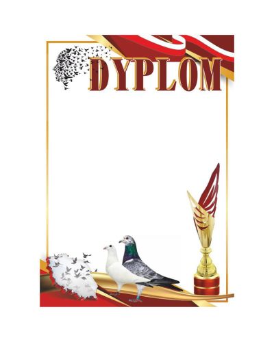 dyplom-dh-317.jpg