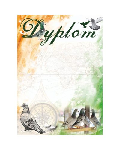 dyplom-dh-318.jpg