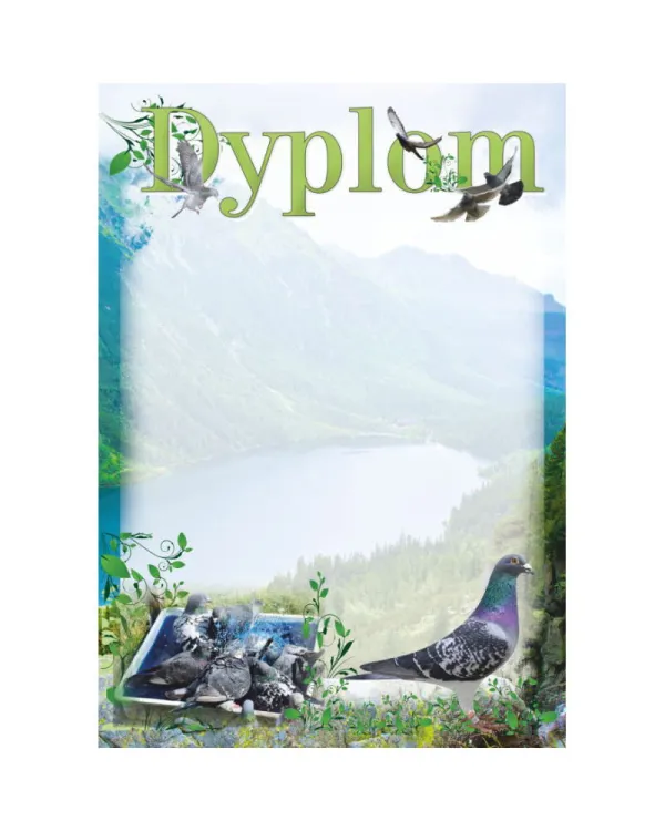 dyplom-dh-330.jpg