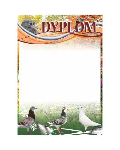 dyplom-dh-300.jpg