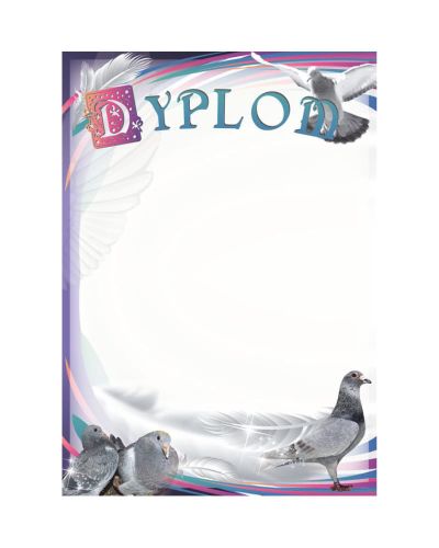 dyplom-dh-301.jpg