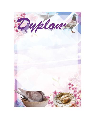 dyplom-dh-303.jpg