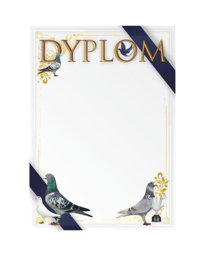 dyplom-dh-307.jpg