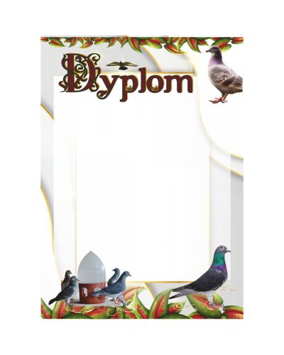 dyplom-dh-312.jpg