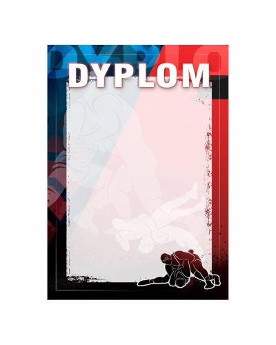 dyplom-d-209.jpg