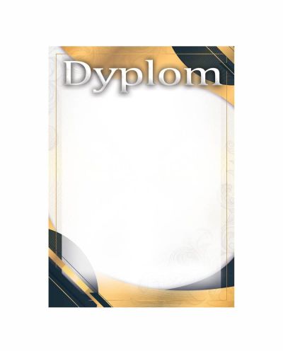 dyplom-d-210.jpg