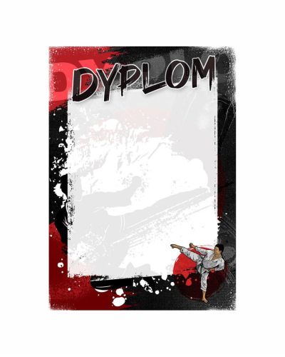 dyplom-d-208 (1).jpg