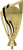 F258_BK_G_srub.png