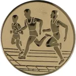 Wklejka Aluminiowa Złota - Biegi