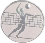 Wklejka Aluminiowa Srebrna - Siatkówka Mężczyzn