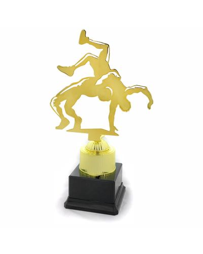 statuetka-4278-zapasy.jpg