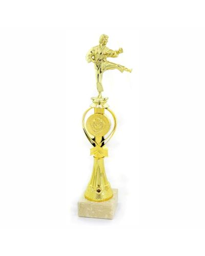 statuetka-4488-karate.jpg
