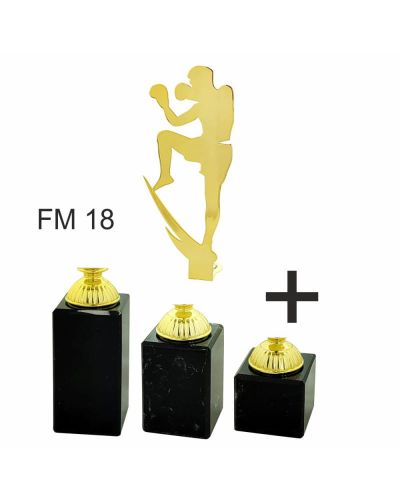 statuetka-4215fm18-kickboxing.jpg