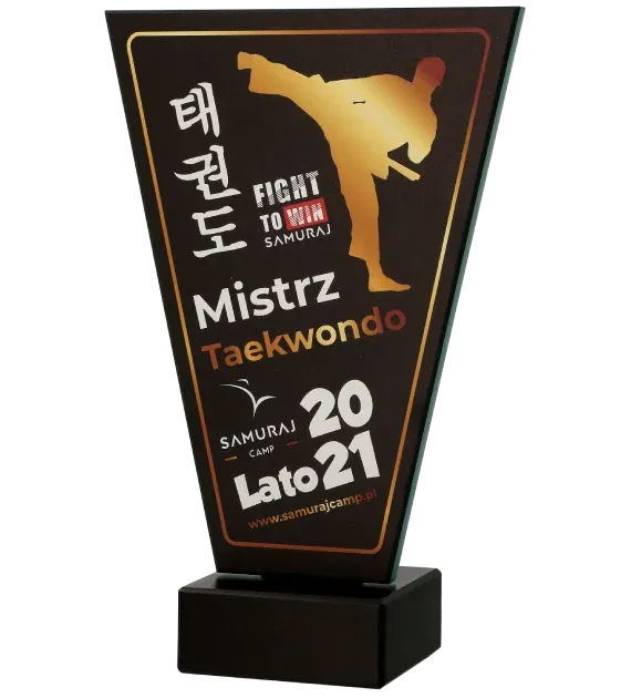 Statuetka-Mistrz-Taekwondo-bok.jpg