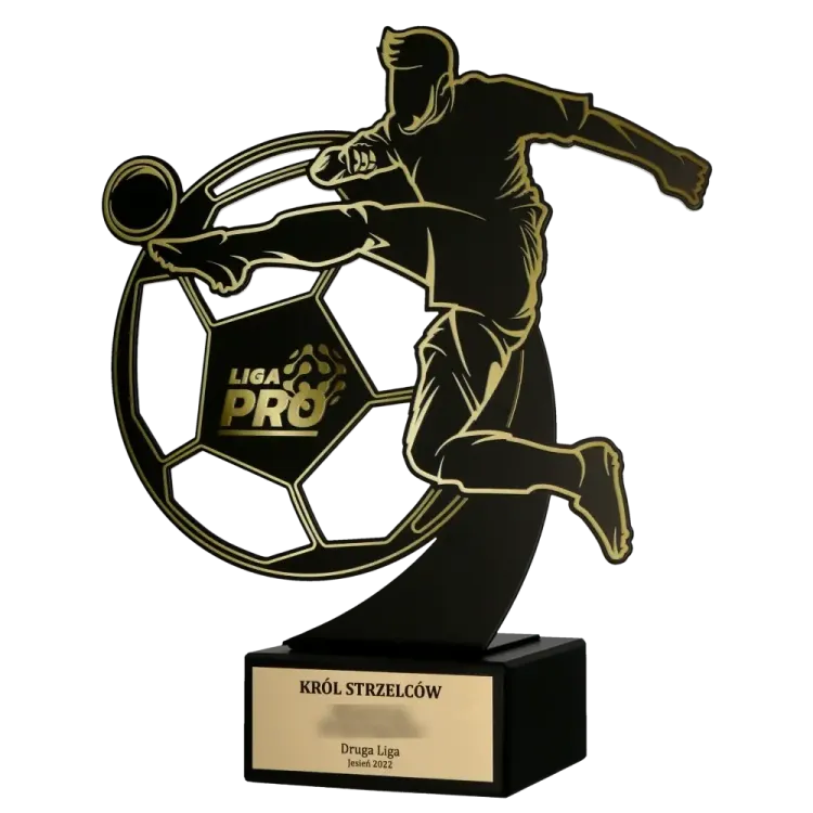Poprawka-Statuetka-Pro-Liga-bok.jpg