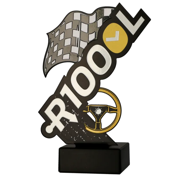 R100-bok.jpg