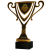 Statuetka-Pro-Future-Cup-bok.jpg