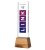 Statuetka-link4_1-1.jpg