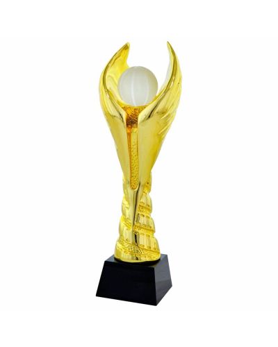 statuetka-exp-14-koszykowka.jpg