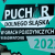Puchar-Dolnego-Slaska-w-Grach-Pojedynczych-w-Badmintonie-statuetka_2.jpg
