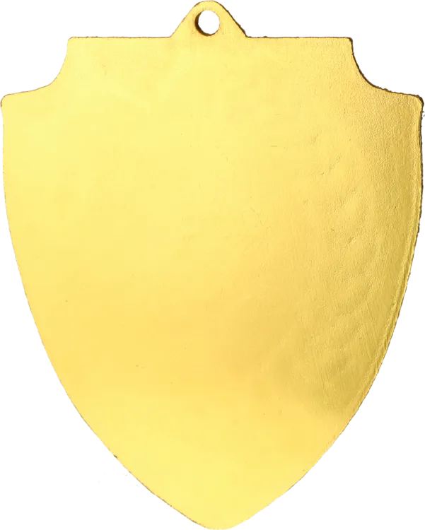 MMC7060_G TYŁ.png