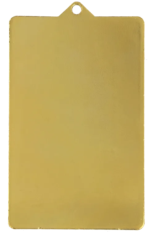 MMC7145_G tyl.png