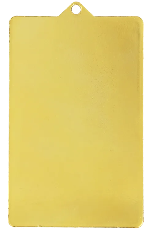 MMC7245_G tyl.png