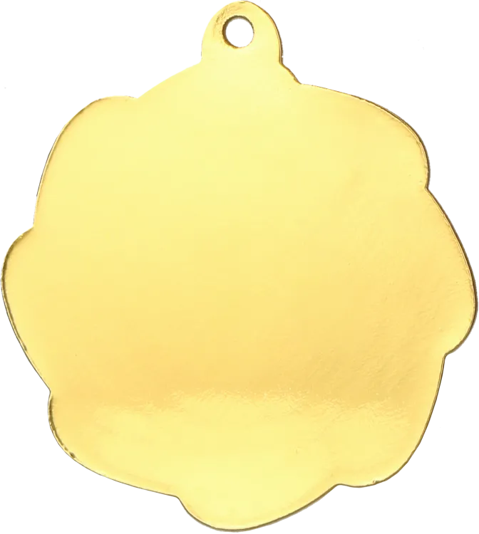 MMC1350_G (1).png