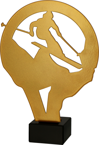 ML-SKI1.png