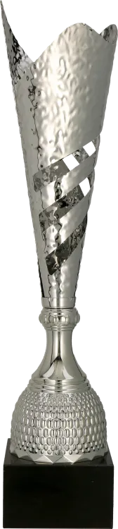 3161_przód.png