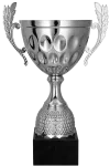 Puchar metalowy srebrny - 4234