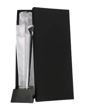Biznesowa statuetka z etui C081