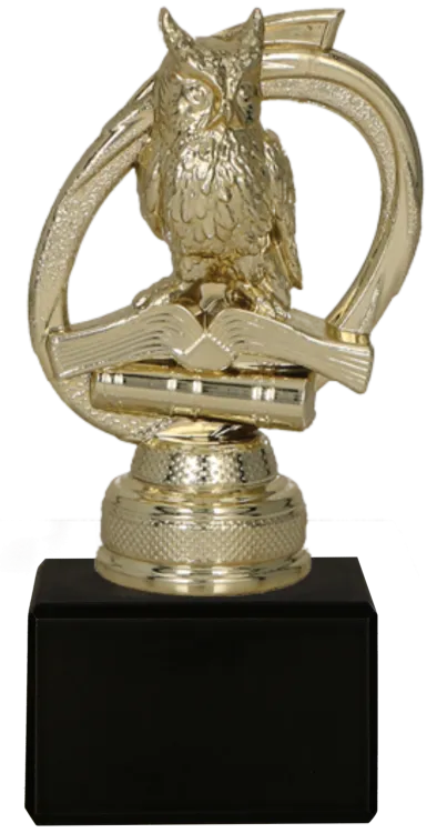 Figurka Nauka Sowa B314G/BK 12 cm | Statuetka Edukacyjna