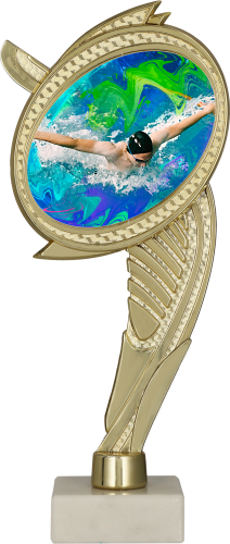 WING-WM_SWI.png
