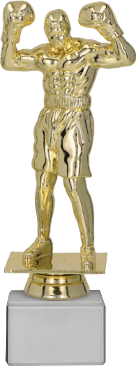 F248Gwm.png