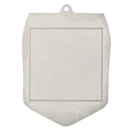 medal-odlewany-srebrny-zjazd-narciarski (1).jpg