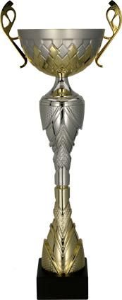 puchar-metalowy-zloto-srebrny.jpg