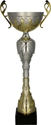 puchar-metalowy-zloto-srebrny.jpg
