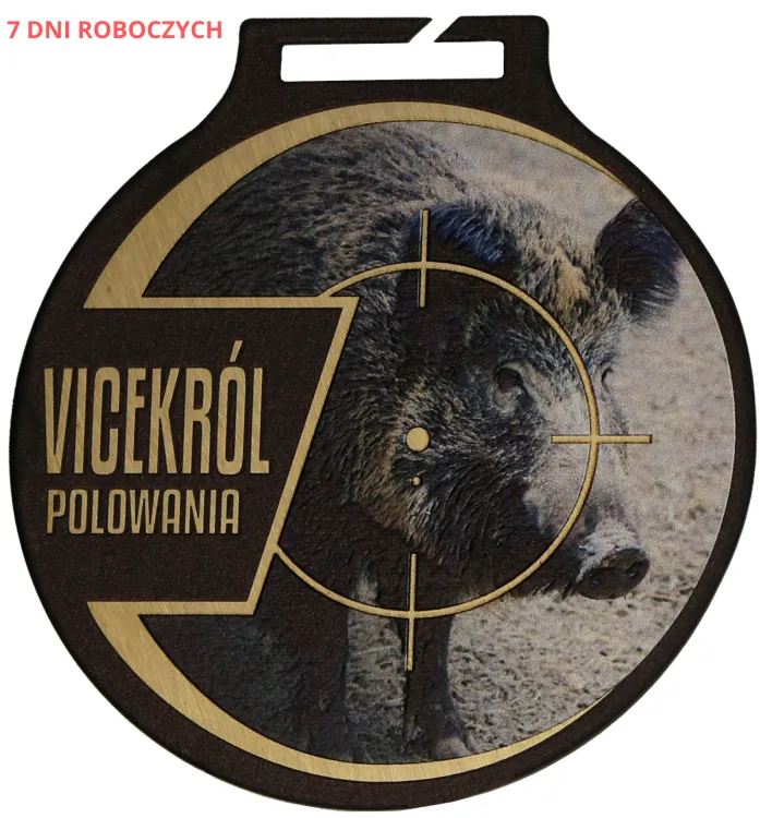 DZIK-PW-VP.png