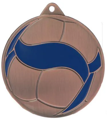 medal-stalowy-brazowy-siatkowka (2).jpg