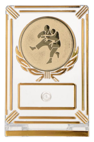Eleganckie trofeum judo (13 cm) z dużym emblematem zawodników 50 mm