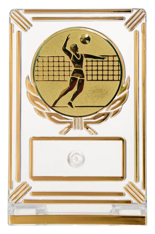 Trofeum Siatkarskie Mężczyzn 13 cm Złote | Siatkówka, Emblemat 50 mm