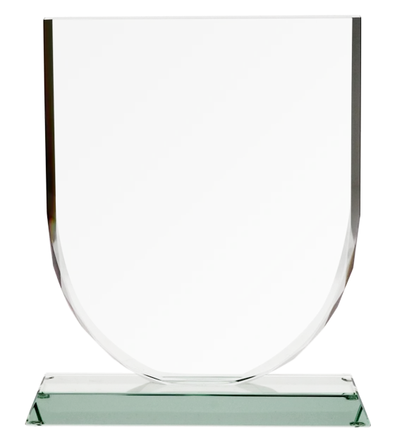 Biznesowe podziękowanie za współpracę kryształowe trofeum G001