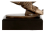 TPFR863_BR_5.png