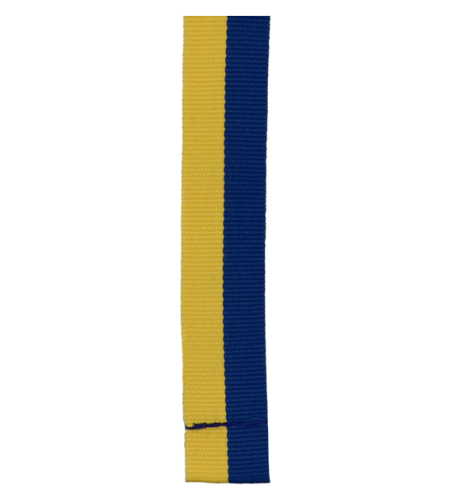 V3_Y_BL.png