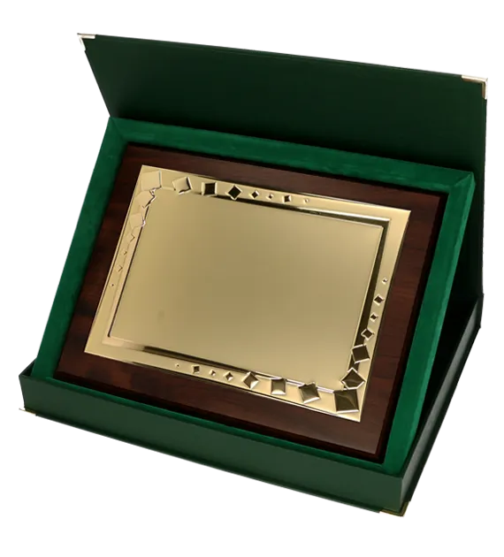 HG425_G_570x630px+etui_poziom_zielony_4.png