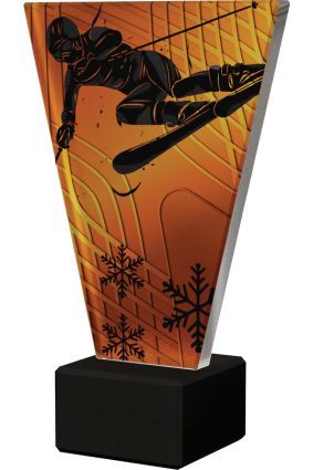 VL1_SKI2_BK.jpg