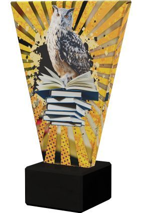 Statuetka Szklana V-Line Sowa Edukacja Gotowy Nadruk VL2/SCH/BK