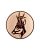 emblemat-aluminiowy-fi50-eat11344-30-jelen.jpg